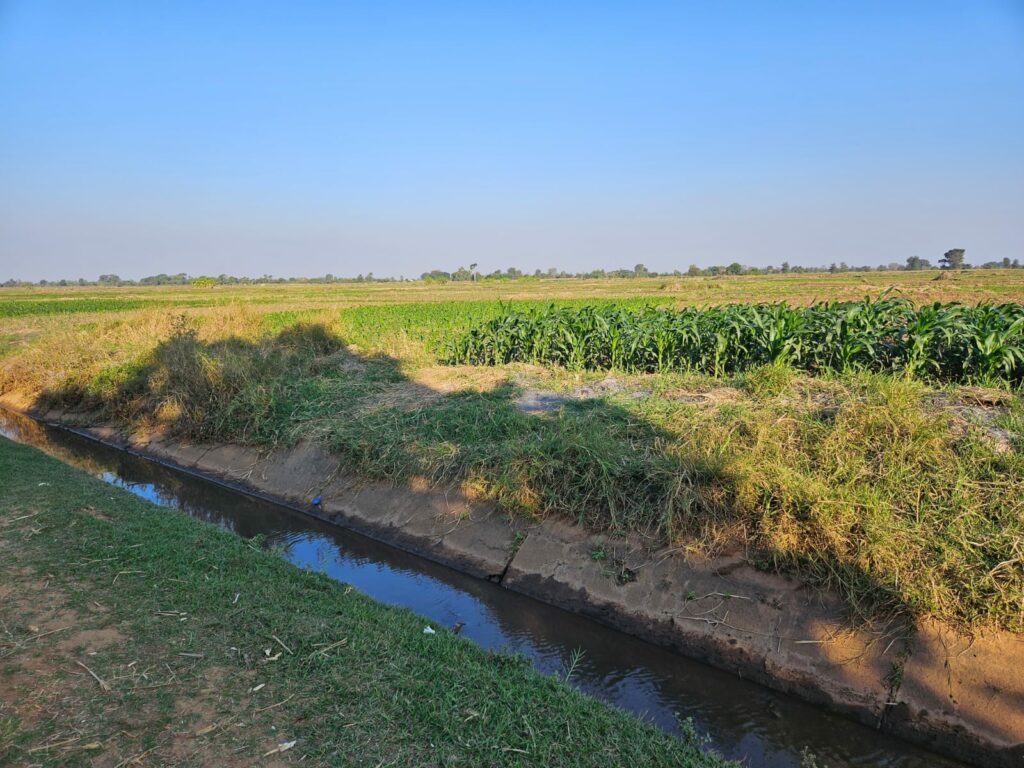 Likangala formal irrigation scheme