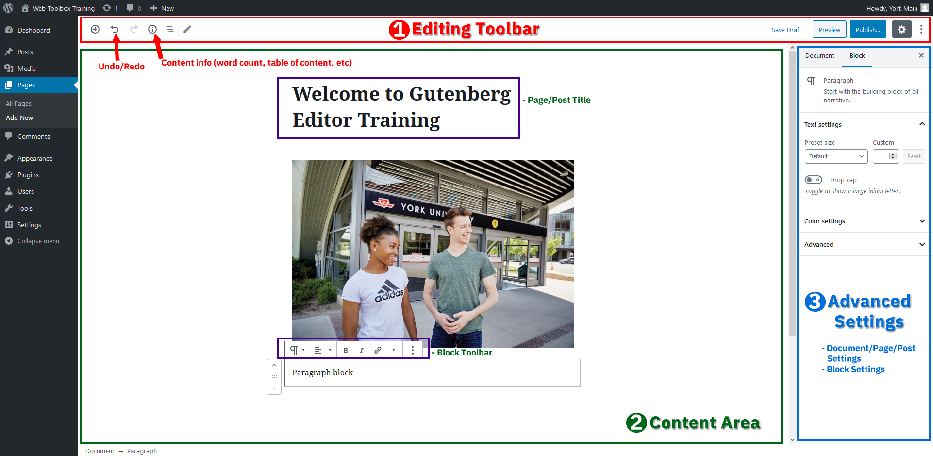 The Gutenberg Interface