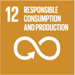 SDGs #12 Responsible Consuption and Production