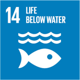 SDGs #14 Life Below Water