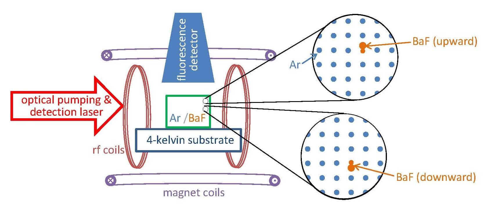 A drawing of the schematic. The Argon crystal is shown on the 4K substrate. It is flanked by rf coils on the sides and magnet coils above and below. An arrow indicated optical pumping and detection laser is coming in from the left and fluorescence detector sits above. Upward and downward orientation of the BaF is shown. 