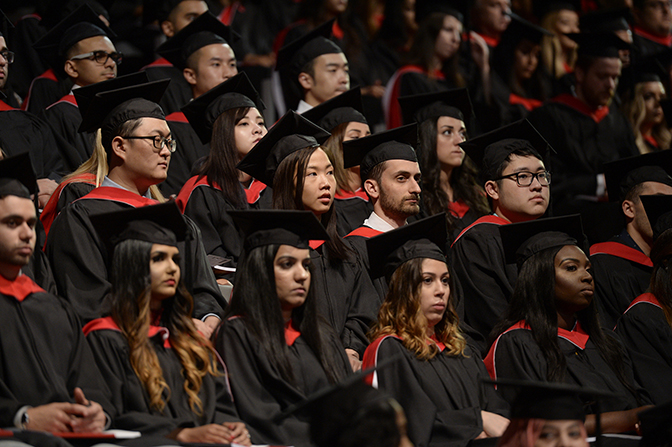 Graduate Programs Icon