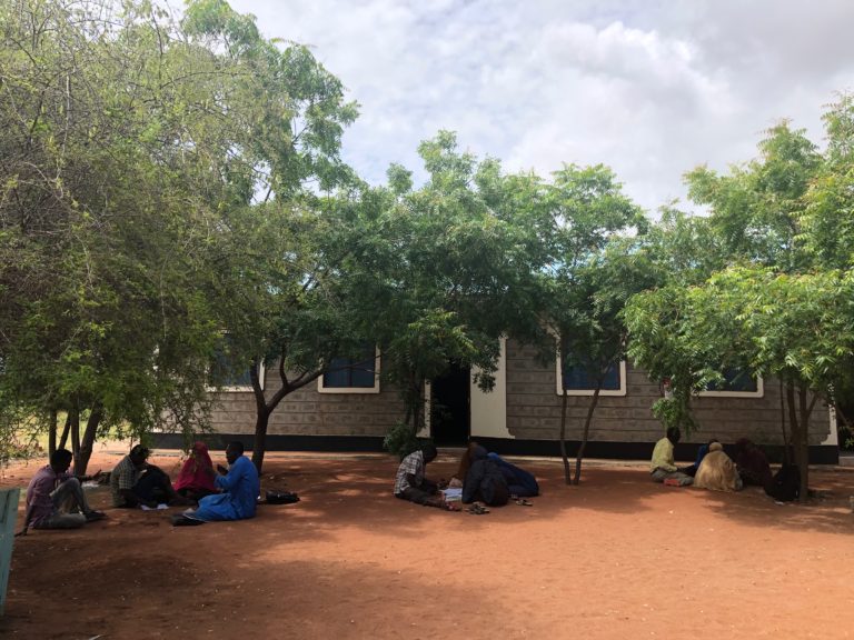 Groups of male and female students sitting under trees on a sunny day outside of the Dadaab Education Centre in Kenya.