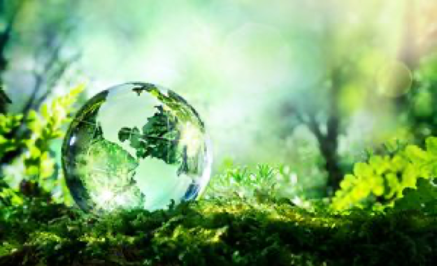 glass globe sitting on the ground in the rainforest