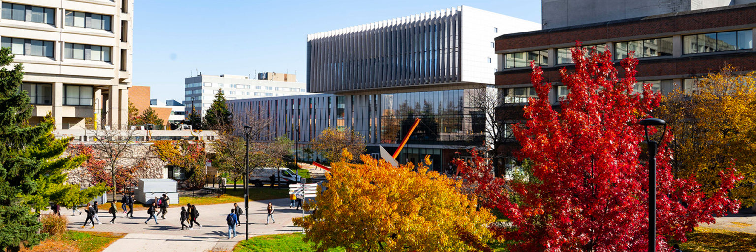 buildings on York University's Keele campus on a fall day