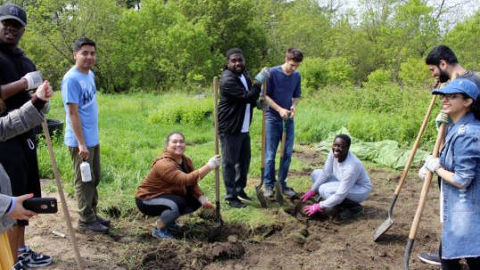 A group of people smiling at the camera while doing gardening work