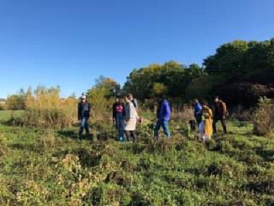 Picture of people walking in a field