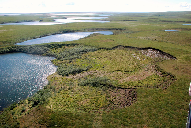 aerial view of forest area