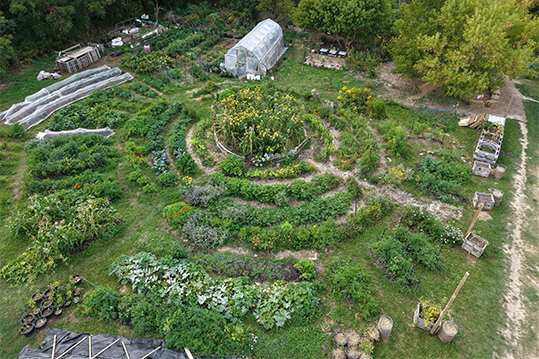 maloca garden aerial view