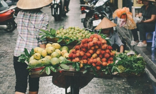 Picture of a wheelbarrow full of farm produce