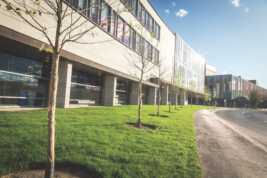 A sunny spring view of the Schulich building from York Boulevard