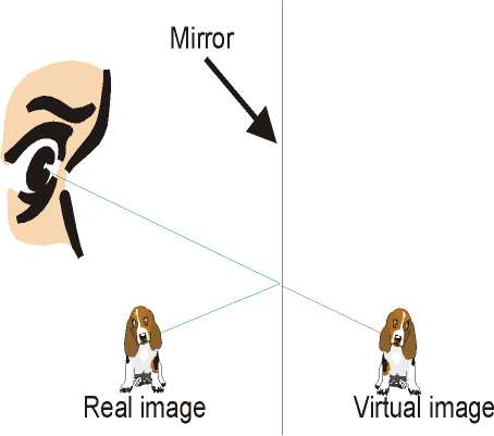 Image Is On The Other Side Of Mirror, Another Word For Mirror Image Process