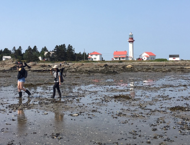 The students walk along the beach flats adjacent to the region’s iconic lighthouse
