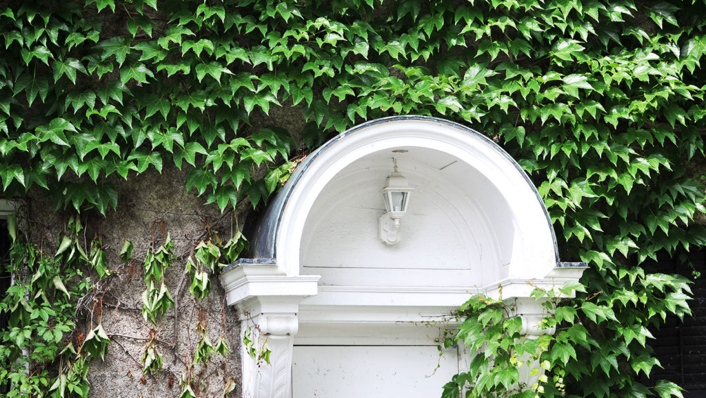 An exterior shot of Glendon Campus.