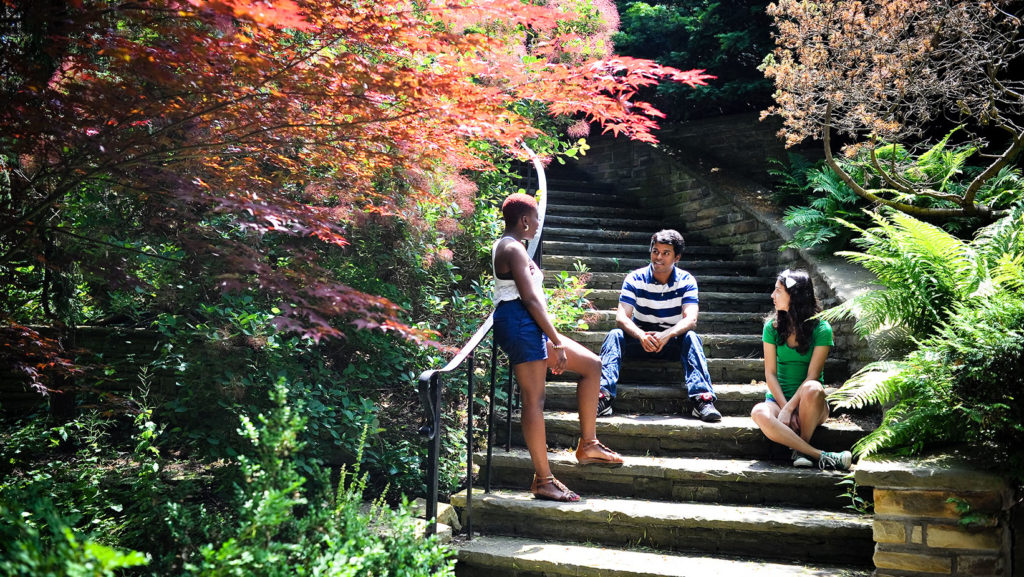 Students discussing at the steps