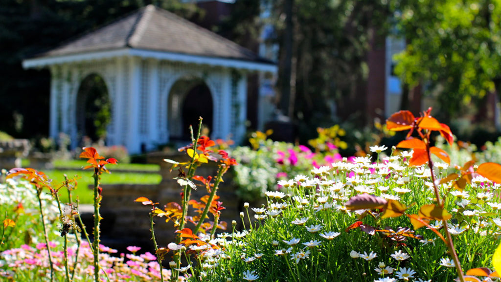 An exterior shot of Glendon Campus.