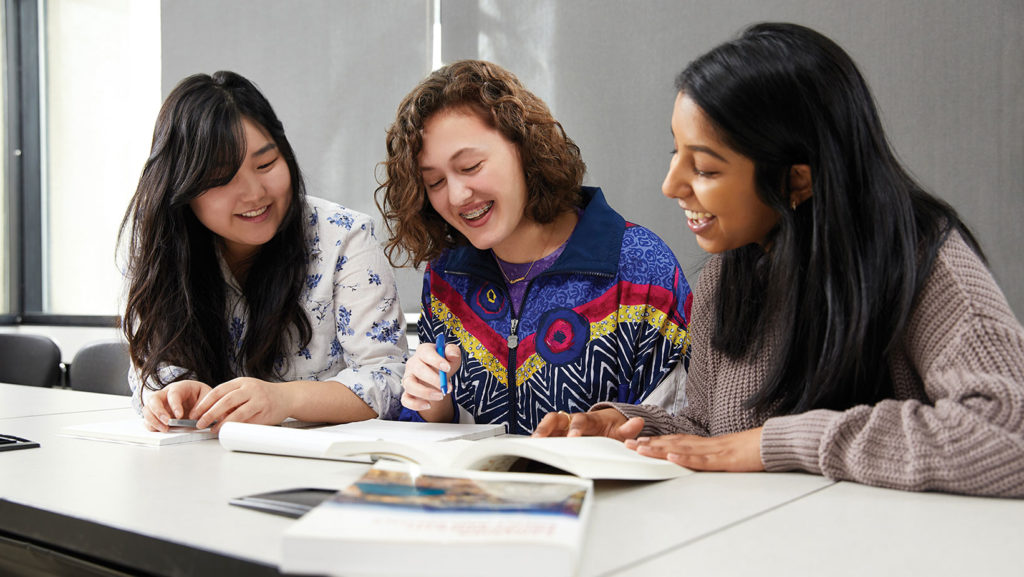 Students studying together.