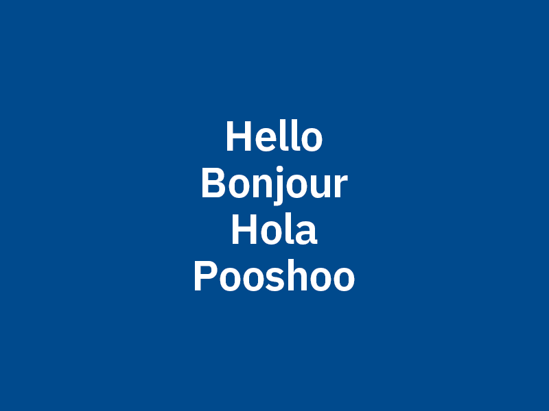 Hello, Bonjour, Hola, Pooshoo