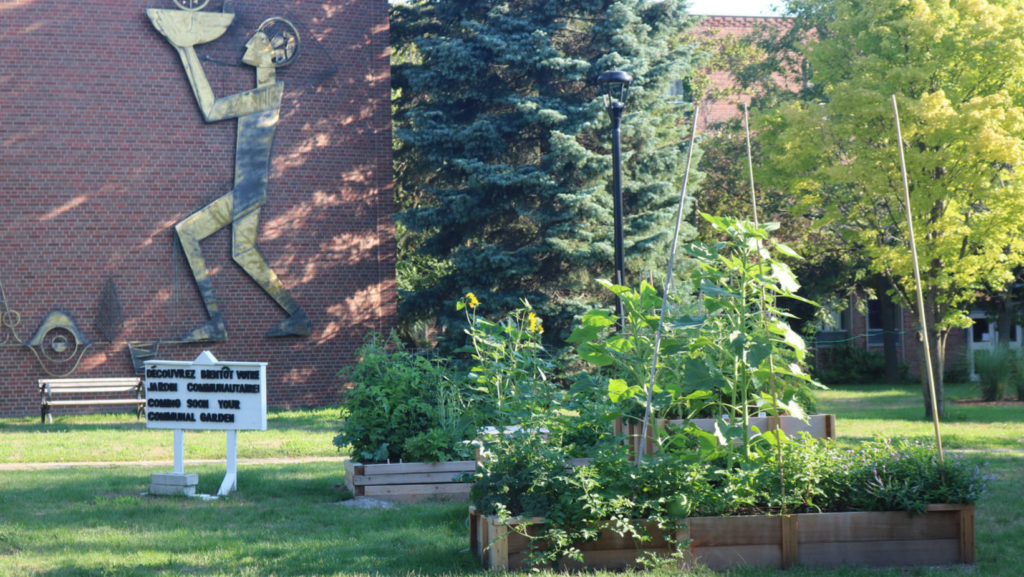 An exterior shot of Glendon Campus.