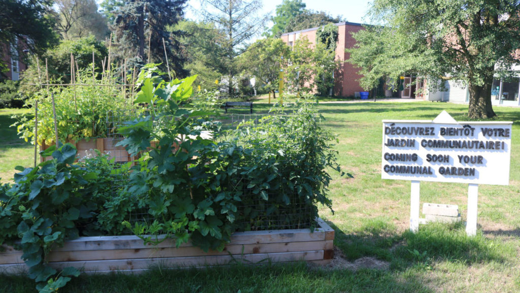 An exterior shot of Glendon Campus.