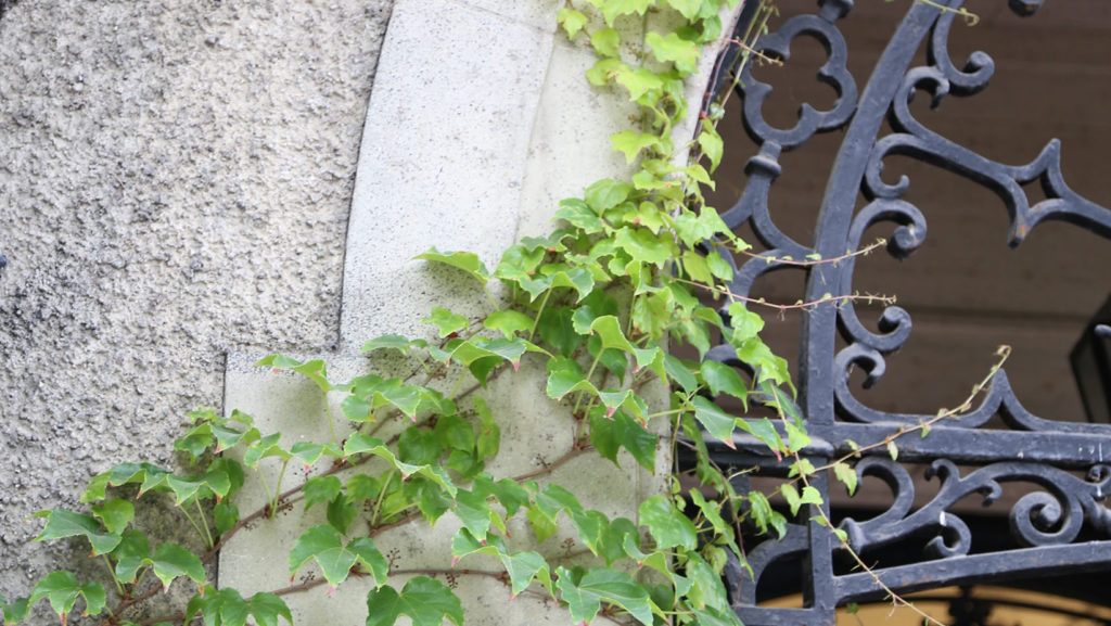 An exterior shot of Glendon Campus.