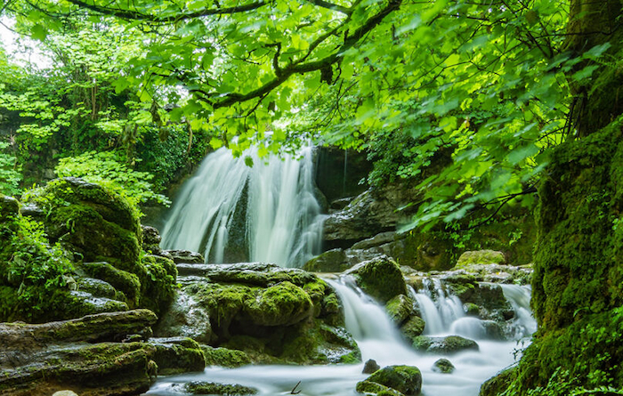 waterfall surrounded by lush, green vegetation