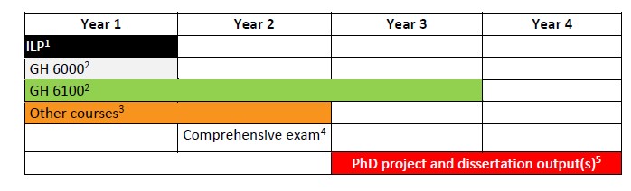 An illustration of a typical Global Health Phd Program pathway.