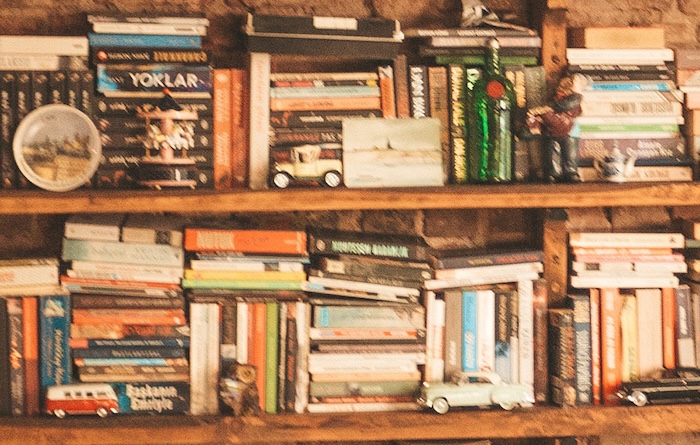 books and knick knacks on a rustic book shelves