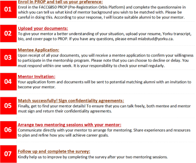 Mentoring Program description with specific steps