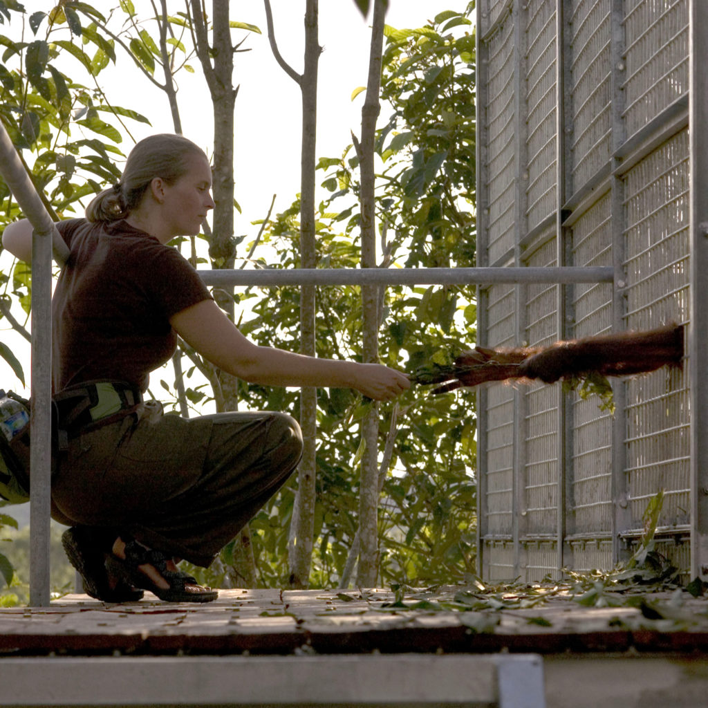 photo of Kristin Andrews exchanging plants with an animal in a cage