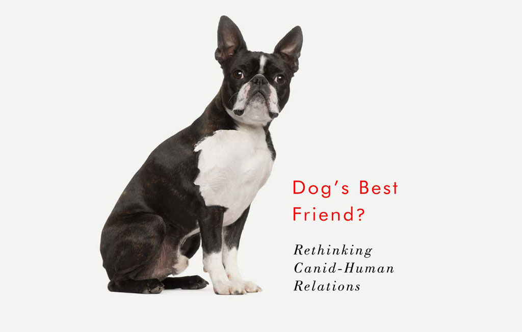 A cover image of Dogs Best Friend - Research Excellence