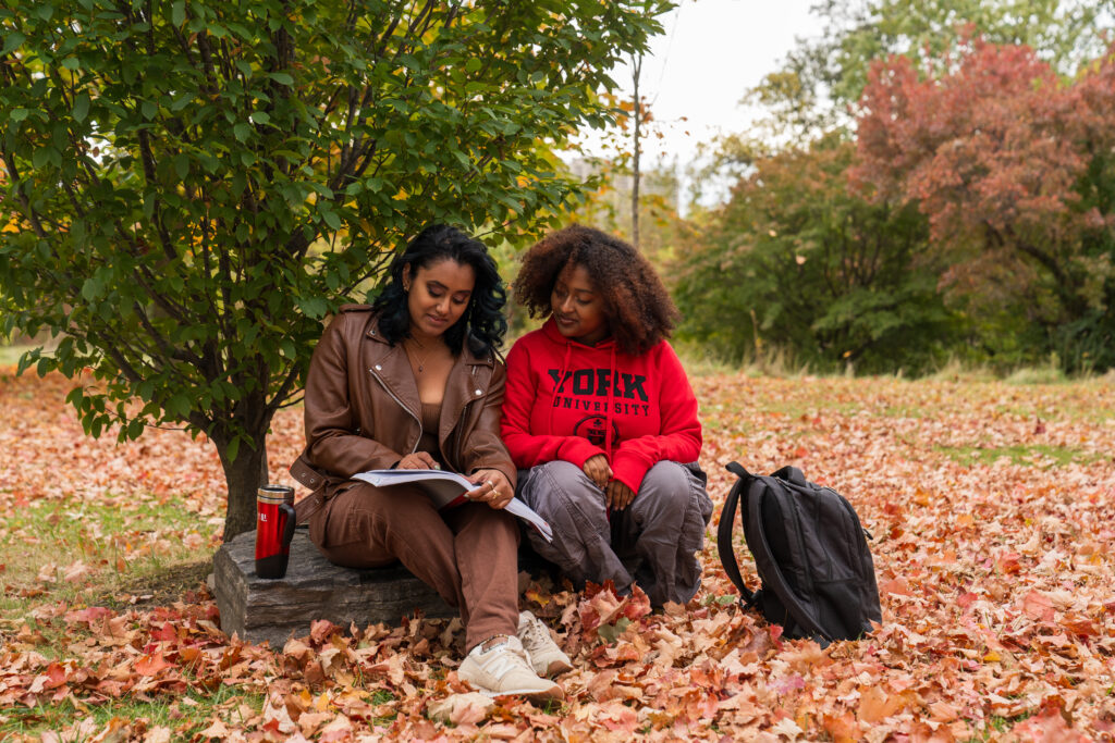 Two graduate students sit on a low stone bench under a tree in autumn, studying together on a campus lawn covered in colorful fallen leaves; one wears a red York University hoodie and the other a brown jacket, with a backpack and thermos nearby.