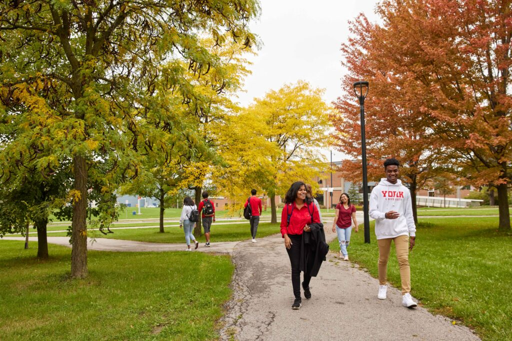 In an outdoor setting seven YorkU students are wearing YorkU sweatshirts and casual clothing holding jackets and backpacks and walking along a pathway lined with orange, yellow and green trees.