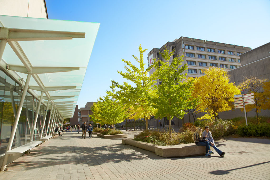 Image of campus walk and the Lassonde building