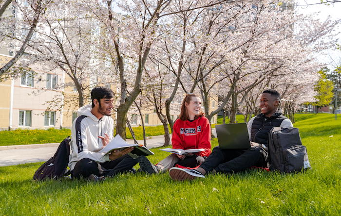 students sit under cherry blossom trees on York's Keele campus