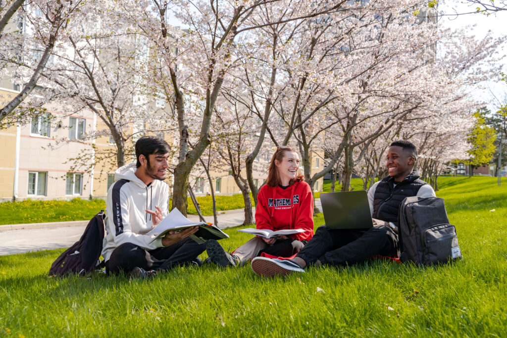 three students sit under cherry blossom trees on York's Keele campus