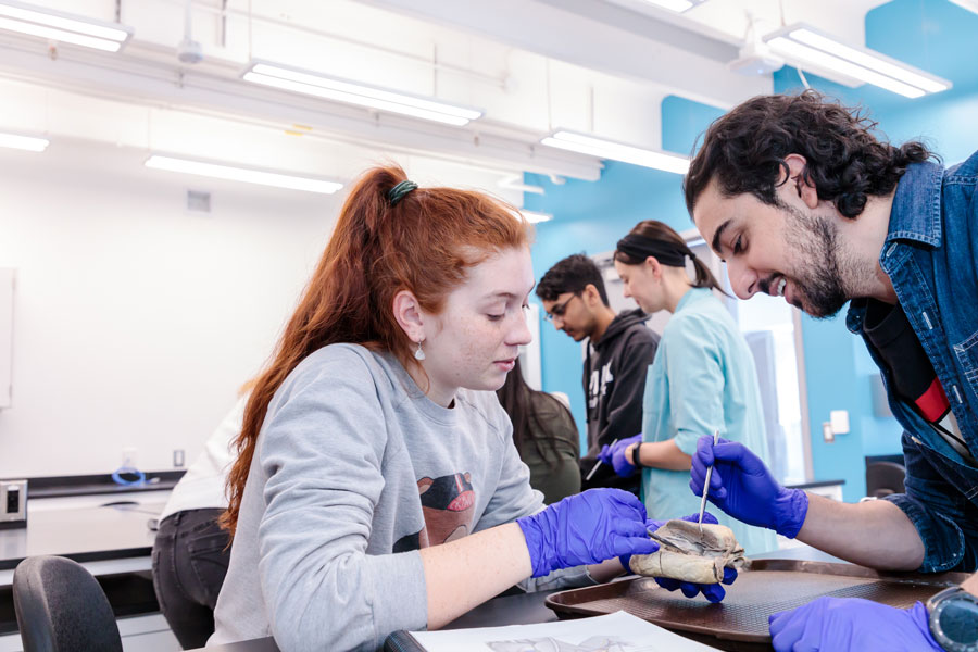 Kinesiology students conducting a dissection in a lab