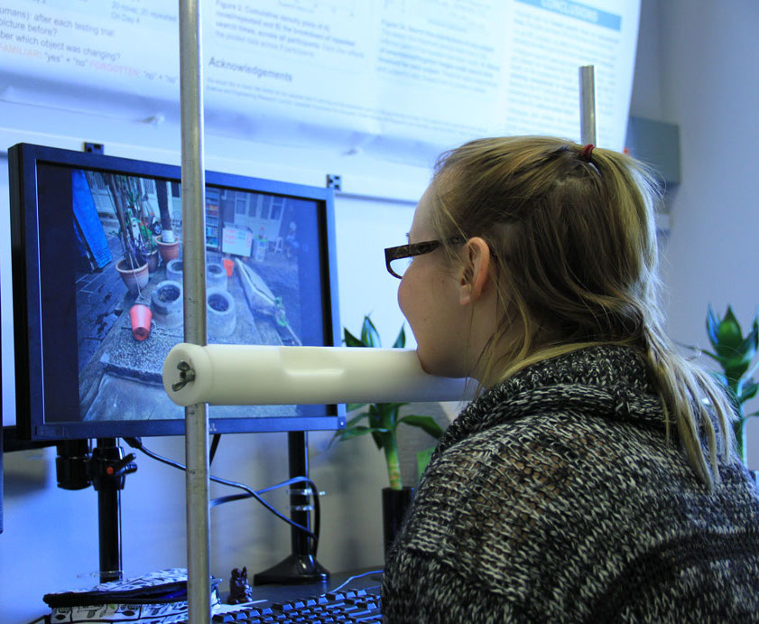 Psychology student conducting a study in a lab