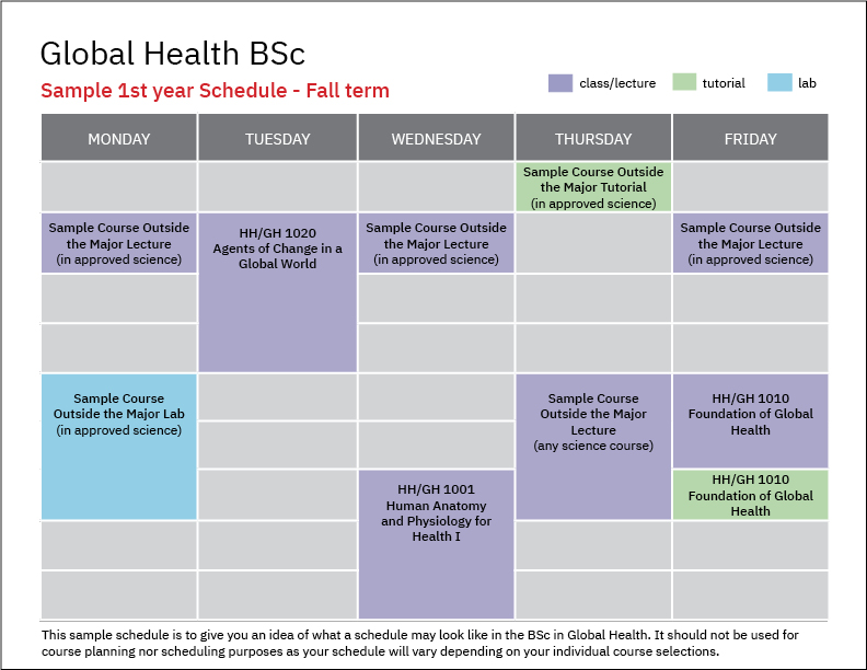 Global-Health-BSc-1st-year-class-schedule-sample