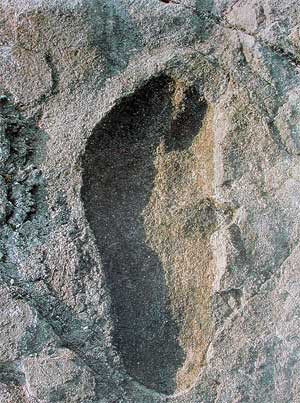Laetoli-footprint-3.6mybp.jpg