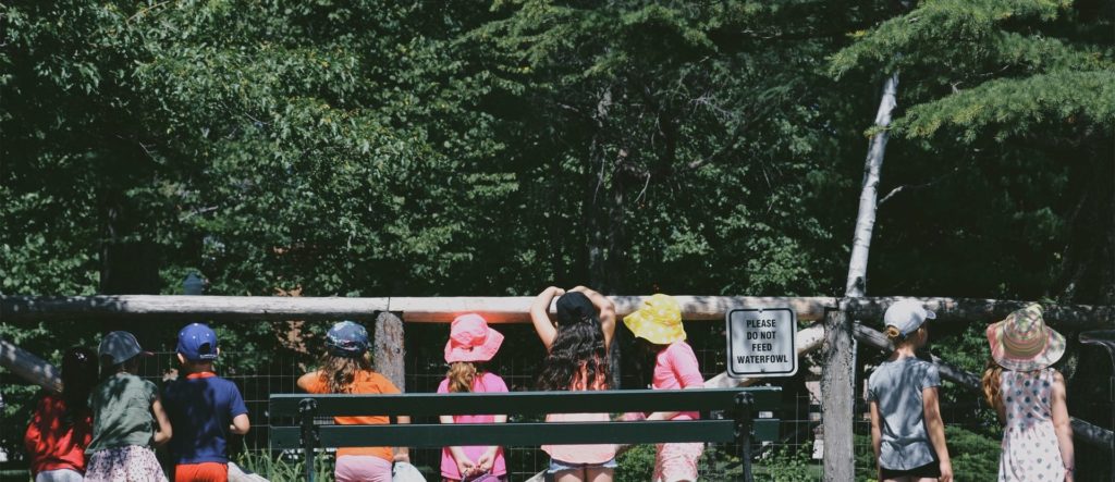 Children looking over a fence.