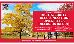 The Centre for Human Rights, Equity and Inclusion