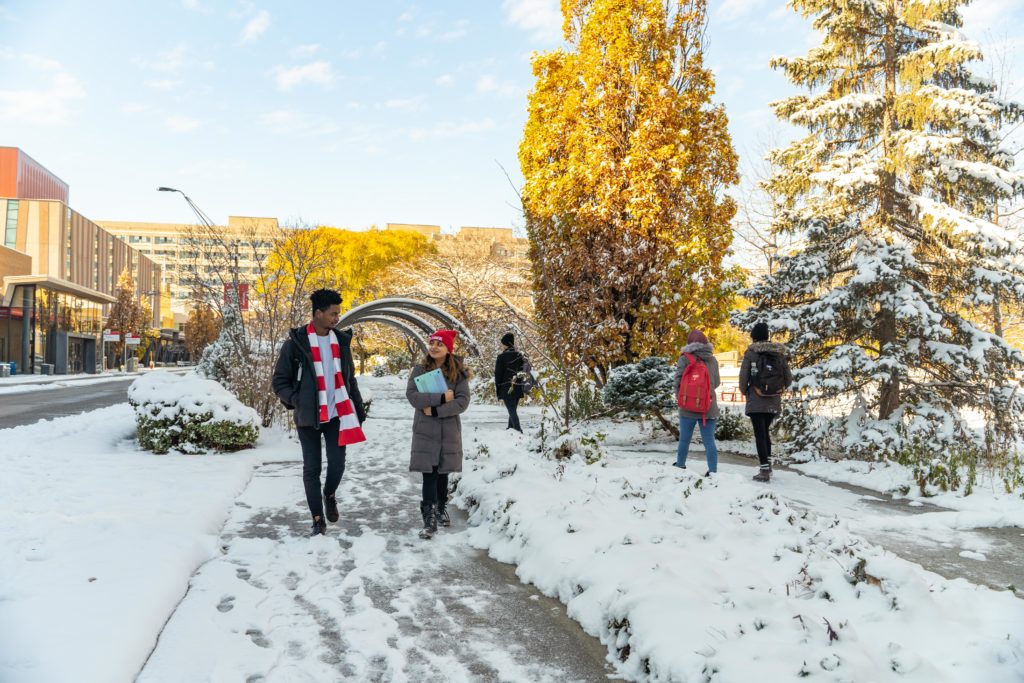 Students walking with trees and snow
