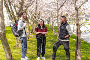 Students gathered under a cherry blossom