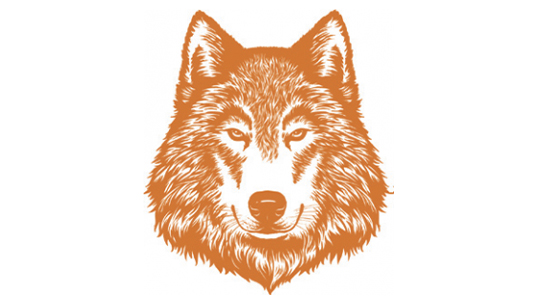 Mclaughlin student council mascot- a wolf 