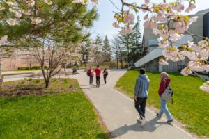 Students walking in Spring