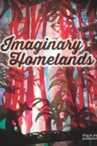 Imaginary Homelands book cover