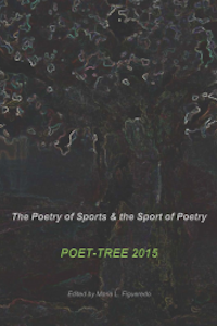 The Poetry of Sports and the Sport of Poetry book cover