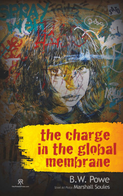 the charge in the global membrane book cover