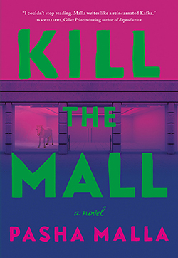 Kill the Mall book cover